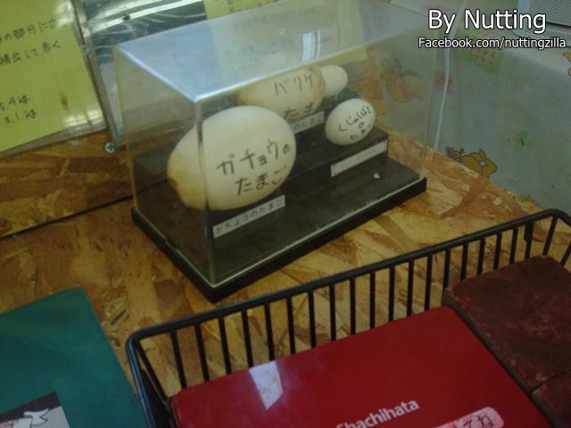DSC03966.JPG